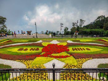 Flowers in garden against cloudy sky