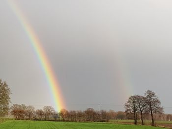 Scenic view of rainbow over trees on field against sky