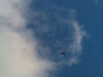 Low angle view of airplane flying in sky