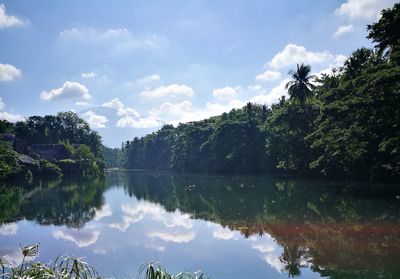 Reflection of trees in lake against sky