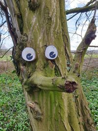 Close-up of tree trunk in forest