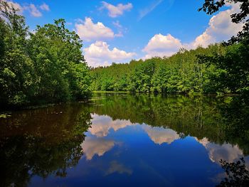 Scenic view of lake by trees against sky