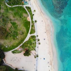 Aerial view of beach