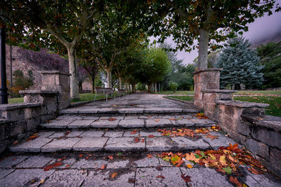 Footpath in park during autumn