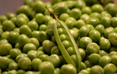 Full frame shot of green beans