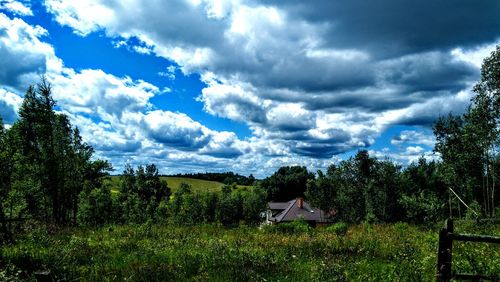 Trees on landscape against sky