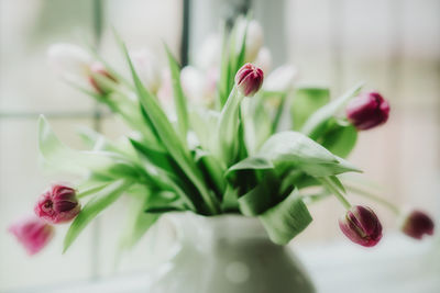 Close-up of red tulips