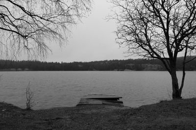 Bare trees on calm lake