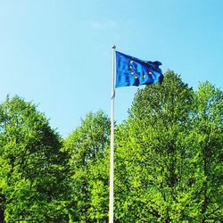 Low angle view of trees against blue sky