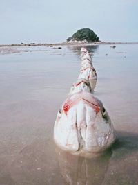 Sea shore at beach