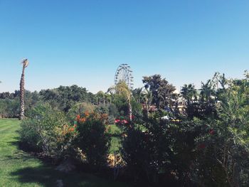 Plants and trees against clear sky