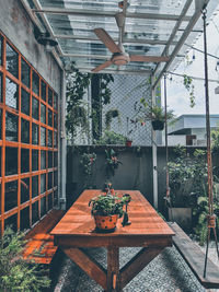 Potted plants on table against building