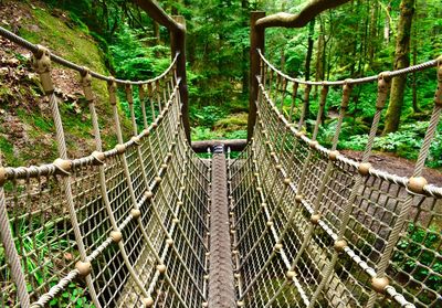 Footbridge in forest