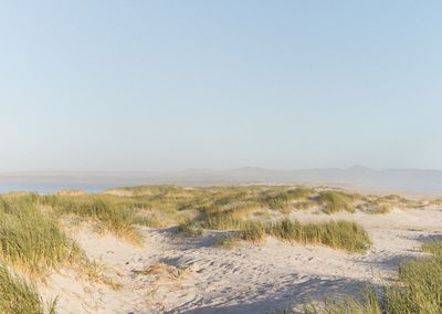 Scenic view of beach against clear sky