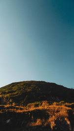 Scenic view of landscape against clear blue sky