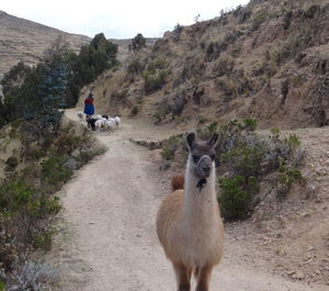 View of two people on road