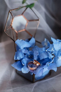 High angle view of blue flower on table