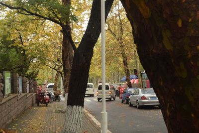 People walking on footpath