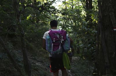 Rear view of man walking in forest