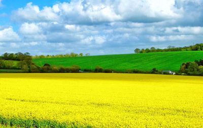 Scenic view of field against cloudy sky