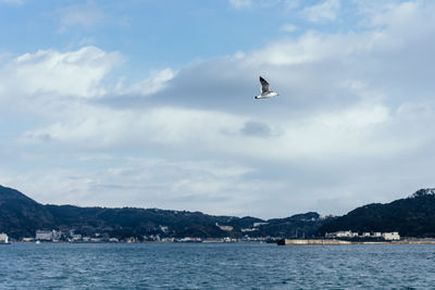 Seagull flying over sea against sky