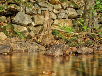 Scenic view of river amidst rocks