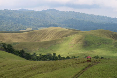 Scenic view of landscape against sky