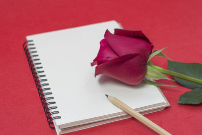 High angle view of rose with pencil on book