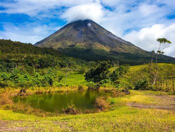 Scenic view of landscape against sky