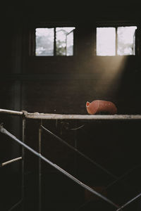Person seen through window of abandoned building