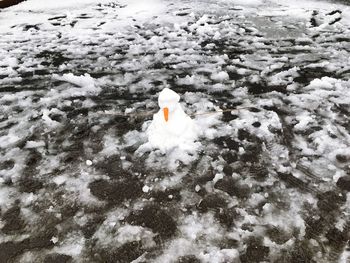 Close-up of snow on ground