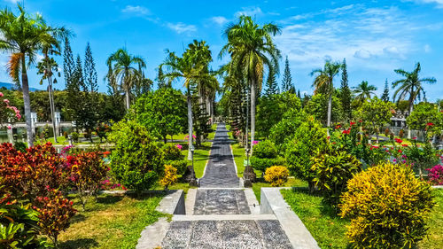 View of palm trees against sky