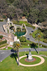 High angle view of palm trees by plants