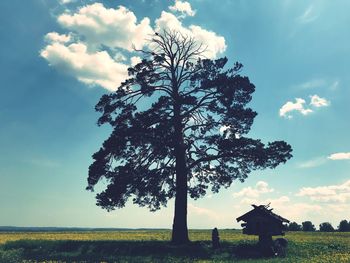 Tree on field against sky