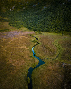 High angle view of plants on land