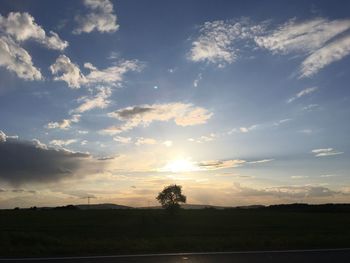 Silhouette trees on field against sky during sunset