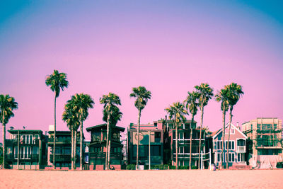 Palm trees and buildings against clear sky