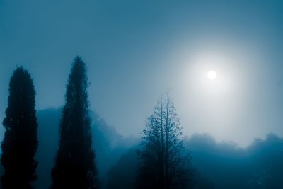 Low angle view of trees against blue sky