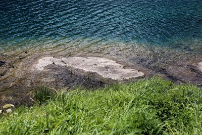 High angle view of rocks on shore