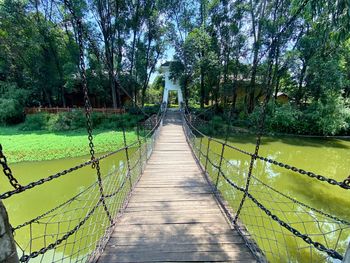 Wooden footbridge along plants and trees