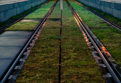 High angle view of railroad tracks in shunting yard