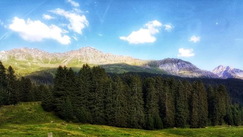 Scenic view of landscape against sky