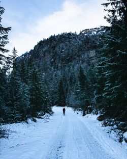 Man walking on snow covered road by trees against sky