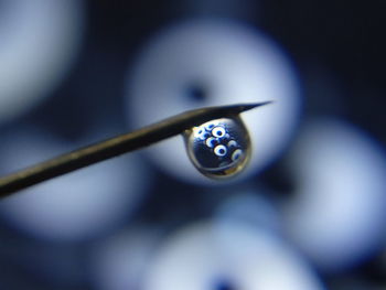 High angle view of water drop