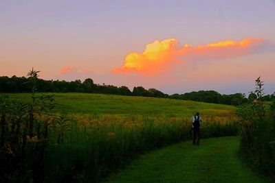 Rear view of silhouette man walking in farm against sky during sunset