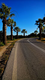 Road with palm trees in rhodes 