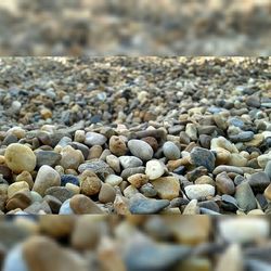 Close-up of pebbles on stones