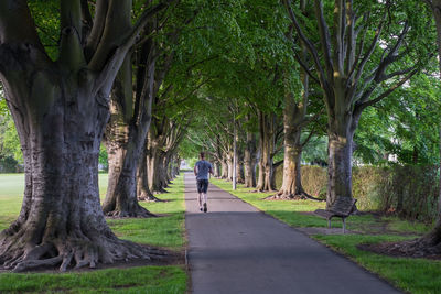 Rear view of man walking on footpath in park