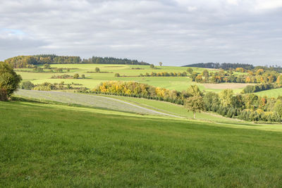 Scenic view of field against sky