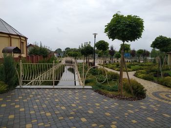 Footpath amidst trees and houses against sky